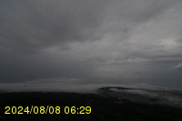 Img20240808_062909.jpg