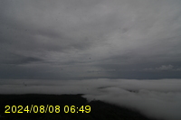 Img20240808_064909.jpg