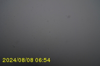 Img20240808_065409.jpg