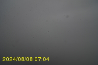 Img20240808_070409.jpg