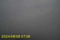 Img20240808_070909.jpg
