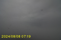 Img20240808_071909.jpg