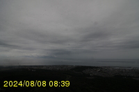 Img20240808_083910.jpg