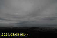 Img20240808_084410.jpg