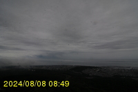 Img20240808_084910.jpg