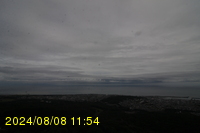 Img20240808_115410.jpg