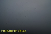 Img20240812_044927.jpg