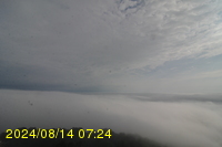 Img20240814_072437.jpg