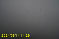 Img20240814_142938.jpg