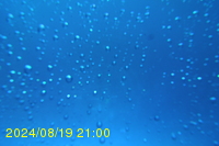 Img20240819_210003.jpg