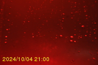 Img20241004_210009.jpg