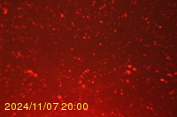 Img20241107_200045.jpg
