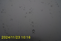 Img20241123_101624.jpg