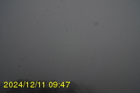 Img20241211_094706.jpg