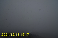 Img20241213_151711.jpg