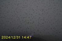 Img20241231_144751.jpg