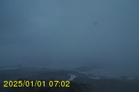 Img20250101_070253.jpg