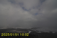 Img20250101_100254.jpg