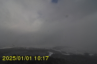 Img20250101_101754.jpg