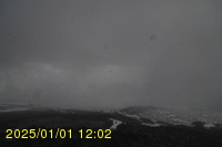 Img20250101_120254.jpg