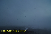 Img20250103_064759.jpg