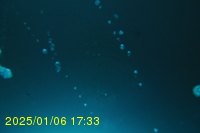 Img20250106_173308.jpg