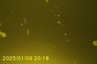 Img20250106_201808.jpg