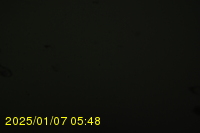 Img20250107_054809.jpg