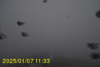 Img20250107_113310.jpg