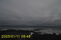 Img20250111_084817.jpg