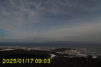 Img20250117_090331.jpg