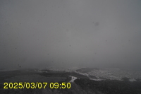 Img20250307_095038.jpg