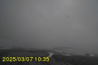 Img20250307_103538.jpg