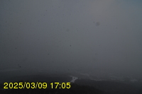 Img20250309_170543.jpg