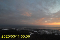 Img20250311_055046.jpg
