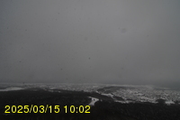 Img20250315_100223.jpg