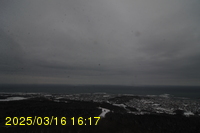 Img20250316_161726.jpg