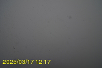 Img20250317_121728.jpg