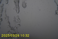 Img20250326_103250.jpg