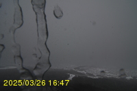 Img20250326_164750.jpg