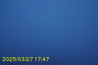 Img20250327_174753.jpg