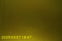 Img20250327_184753.jpg