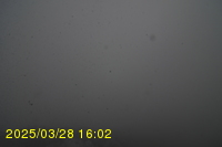 Img20250328_160255.jpg