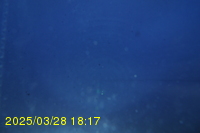 Img20250328_181755.jpg