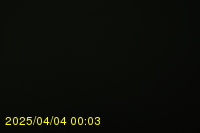 Img20250404_000311.jpg