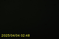 Img20250404_024811.jpg