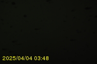Img20250404_034811.jpg