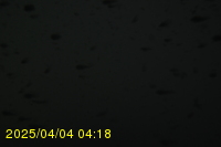 Img20250404_041811.jpg
