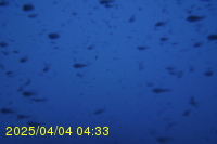 Img20250404_043311.jpg