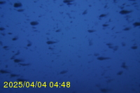 Img20250404_044811.jpg